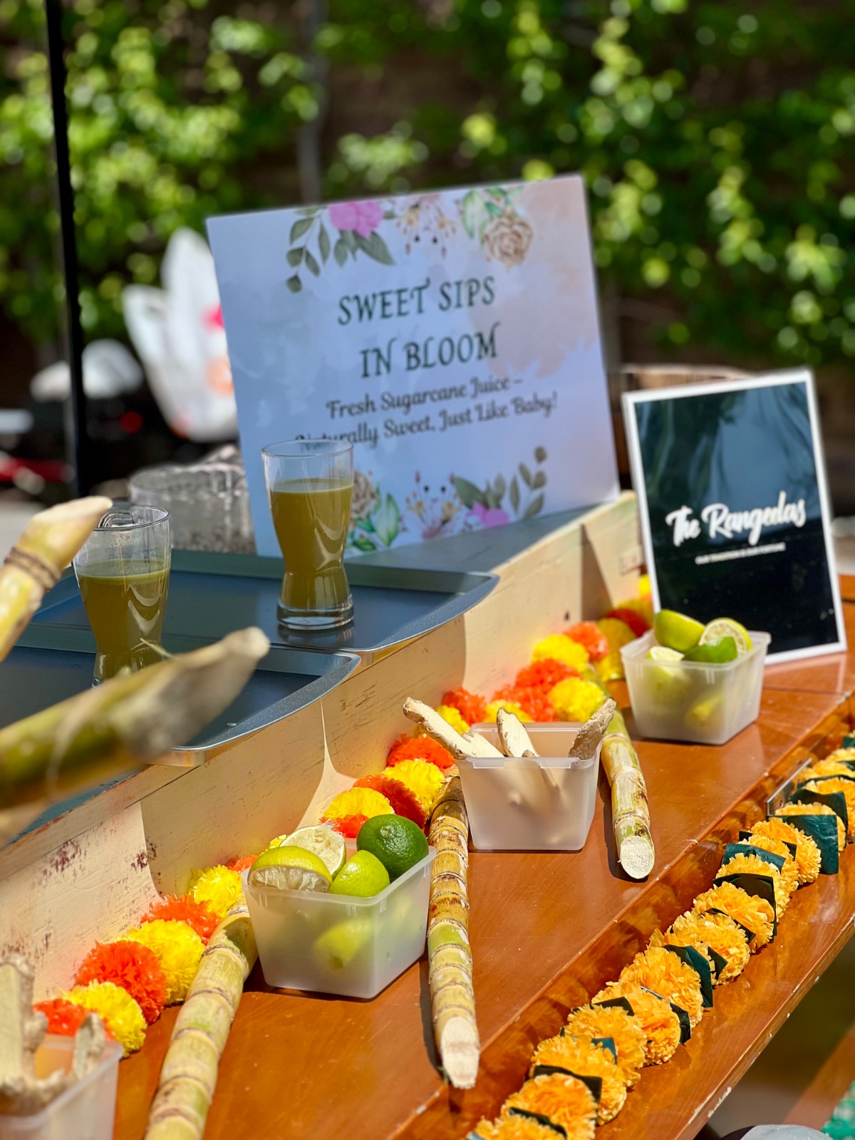 The Rangeelas | Live Paan Station with Decorated Cart, Masala Soda, Sugarcane Juice, and Ice-Gola., photo 30